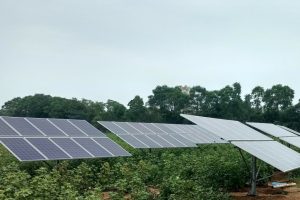 Agrar Photovoltaik