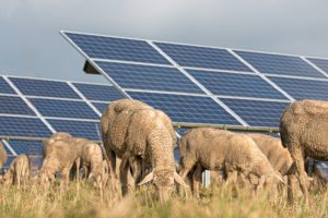 Was bringt eine Photovoltaikanlage für den Klimaschutz?