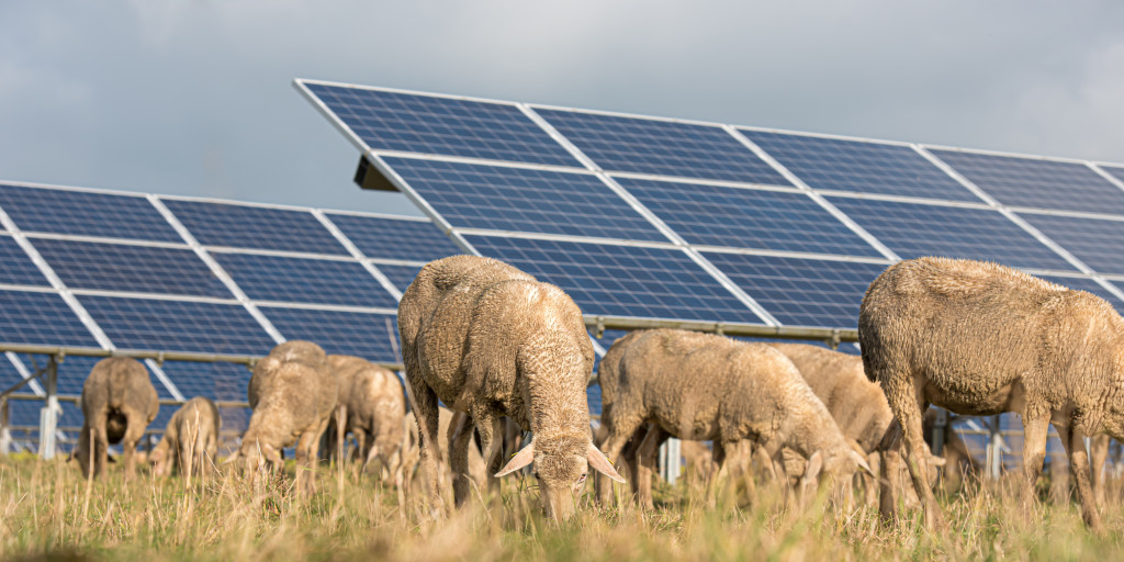 solartechnik gegen klimawandel